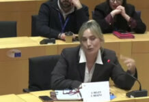 c1352691d73a0f14bef545e0b53e4547 L.jpg