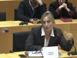 c1352691d73a0f14bef545e0b53e4547 L.jpg