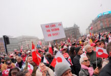 denmark trump greenland protests reuters 4 1200x630.jpg