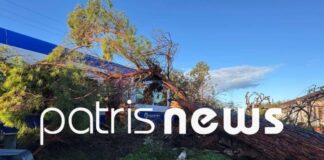 dentro atixima treno 1 1200x630.jpg