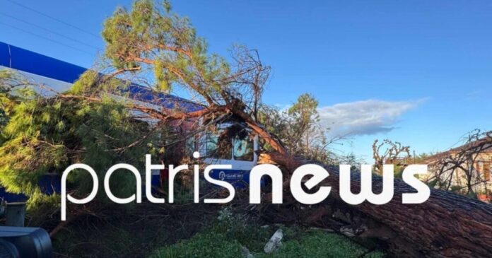 dentro atixima treno 1 1200x630.jpg