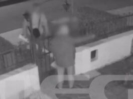 diarriktes 1 1200x630.jpg