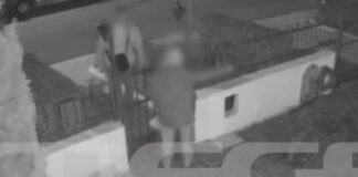 diarriktes 1 1200x630.jpg