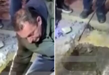 diarroi violanta sinthesi 1200x630.jpg