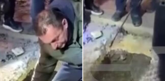 diarroi violanta sinthesi 1200x630.jpg