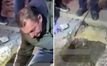 diarroi violanta sinthesi 1200x630.jpg