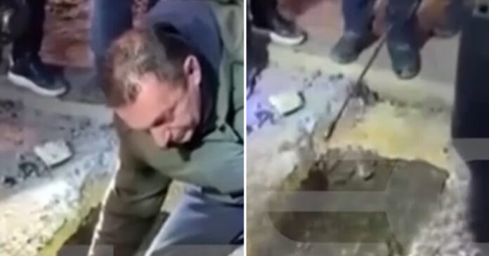 diarroi violanta sinthesi 1200x630.jpg