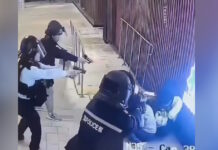 dolofonia xong kong 1200x630.jpg