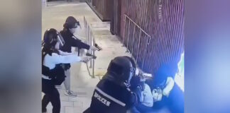 dolofonia xong kong 1200x630.jpg