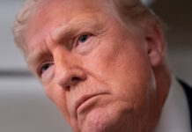 donald trump 1 2 1200x630.jpg