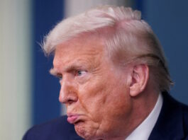 donald trump 7 1200x630.jpg