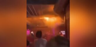 elvetia fwtia 4 1200x630.jpg