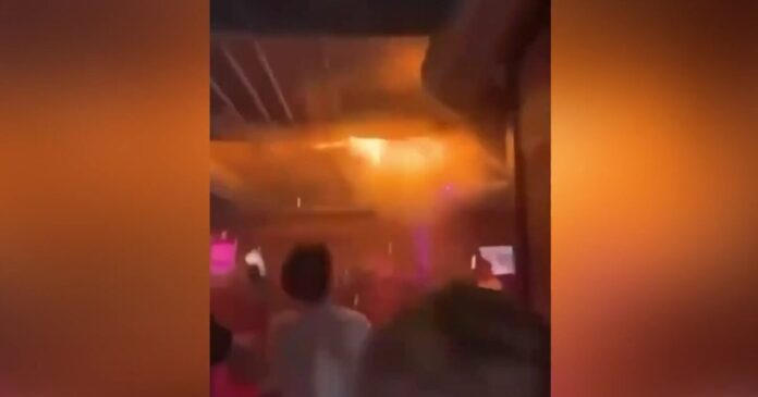 elvetia fwtia 4 1200x630.jpg elvetia fwtia 4 1200x630.jpg