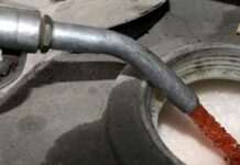 epidoma thermansis 1 1.jpg