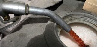 epidoma thermansis 1 1.jpg