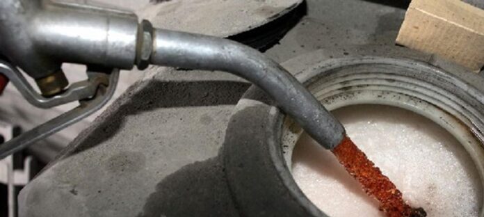 epidoma thermansis 1 1.jpg