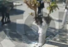 eretria anilikoi 1200x630.jpg