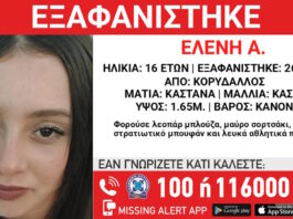 exafanisi 1 1 1200x630.jpg