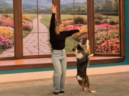 f5cd385bc57ad32769fd57a5886f69a7 L.jpg