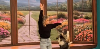 f5cd385bc57ad32769fd57a5886f69a7 L.jpg