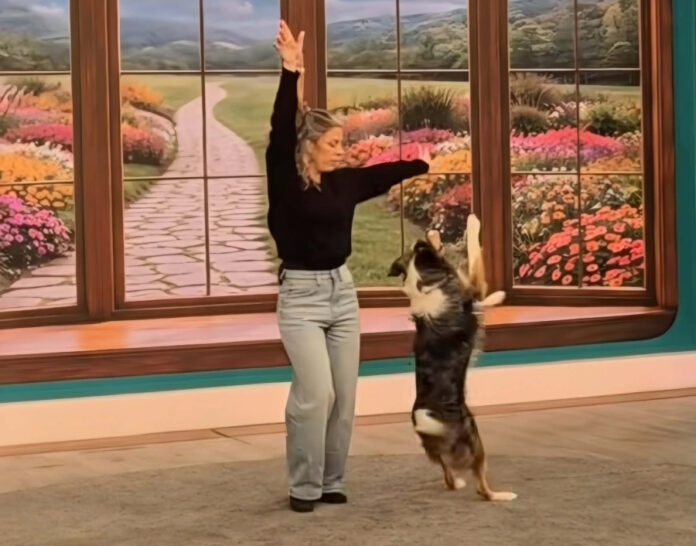 f5cd385bc57ad32769fd57a5886f69a7 L.jpg