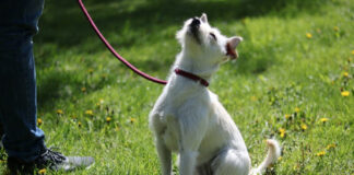 f7703081f2072569dedc781abcdd68ec L.jpg