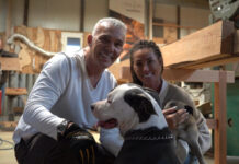 Στέλιος Ρόκκος: «Τα ζώα μου θα πρόδιδαν ότι είμαι πολύ αυστηρός» fe4cb7fc3db4c25143d71ded2184fd0d L.jpg