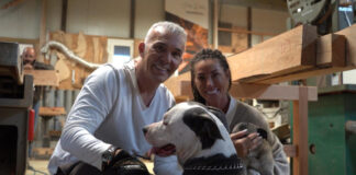 fe4cb7fc3db4c25143d71ded2184fd0d L.jpg