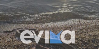 fidi evoia 24012026 1200x630.jpg