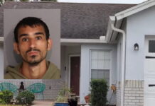 florinta dolofonia 1200x630.jpg