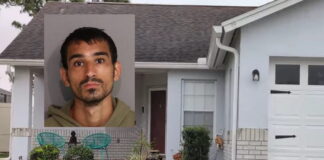 florinta dolofonia 1200x630.jpg