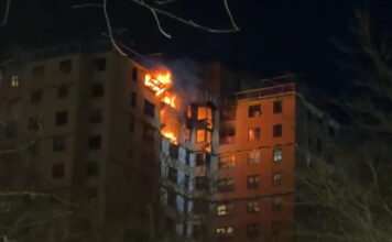 fotia bronx 1200x630.jpg