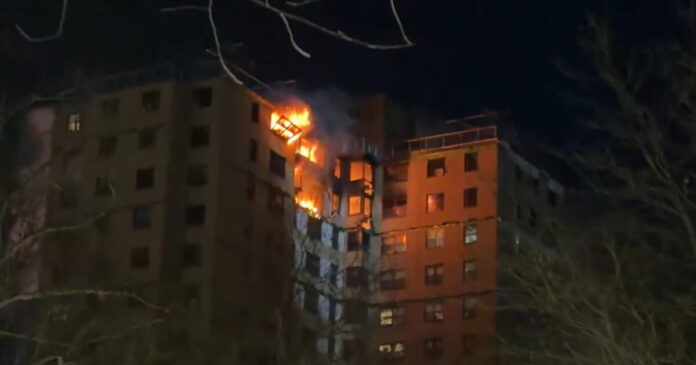 fotia bronx 1200x630.jpg fotia bronx 1200x630.jpg