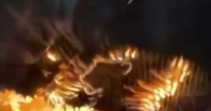 fotia elvetia 1200x630.jpg