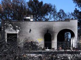 fotia mati 1 1200x630.jpg