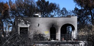 fotia mati 1 1200x630.jpg