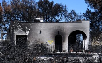 fotia mati 1 1200x630.jpg