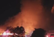 fotia menidi 1 1200x630.jpg