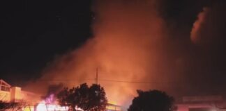 fotia menidi 1 1200x630.jpg