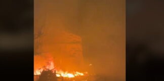 fotia xania 1200x630.jpg