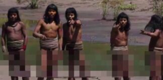 fulh amazonios 1200x630.jpg