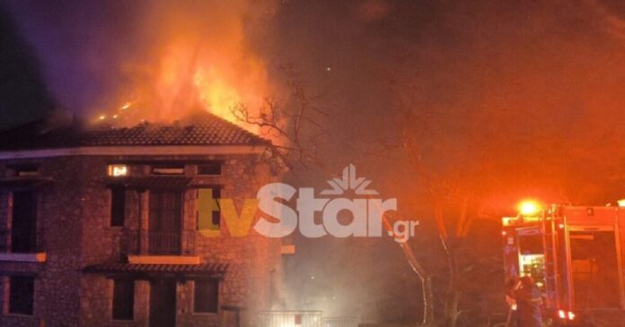 fwtia araxwva 5 1200x630.jpg