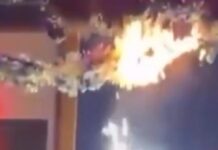 fwtia club italy 1200x630.jpg