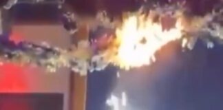 fwtia club italy 1200x630.jpg