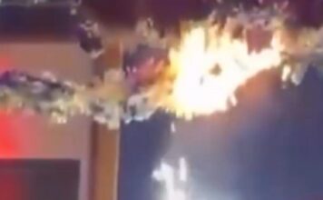 fwtia club italy 1200x630.jpg