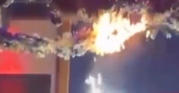 fwtia club italy 1200x630.jpg