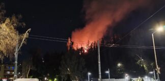 fwtia dafni 2 1200x630.jpg