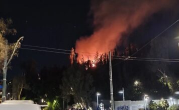 fwtia dafni 2 1200x630.jpg