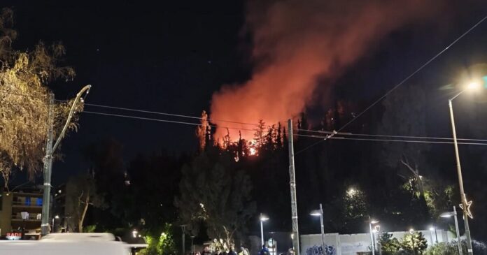 fwtia dafni 2 1200x630.jpg