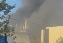 fwtia ilion 2 1200x630.jpg